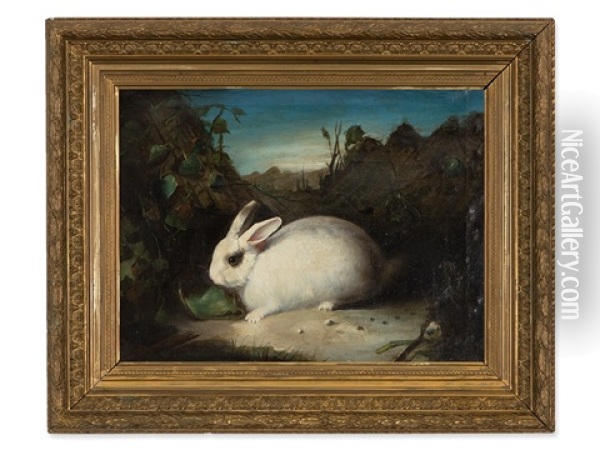 White Rabbit Oil Painting - David de Coninck
