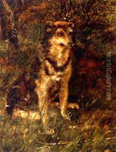 A Dog In A Wood Oil Painting - Allen Culpepper Sealy