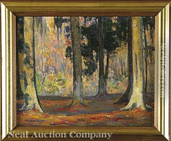 Autumn Color: Golden Afternoon, Long Lake, Club Grounds, Mississippi Oil Painting - Mary Clare Sherwood