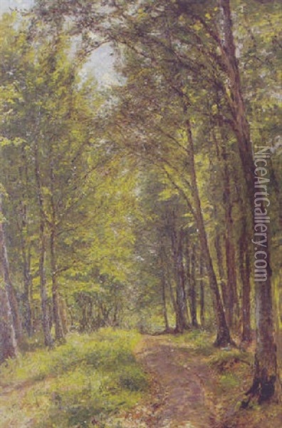 Bogeskoven I Horbaek Plantage Oil Painting - Godfred Christensen