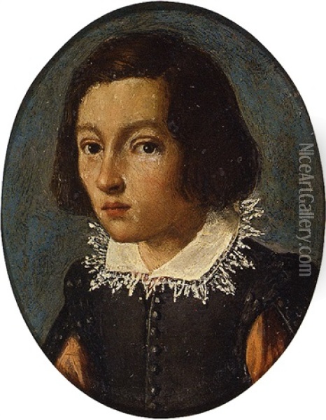 Head Of A Young Man Oil Painting - Alessandro di Cristofano Allori