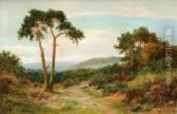 Reigate Heath,surrey Oil Painting - Daniel Sherrin