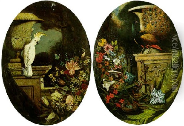 Still Life Of A Cockatoo Set Within Classical, Ornamental Gardens Oil Painting - Jakob Bogdani