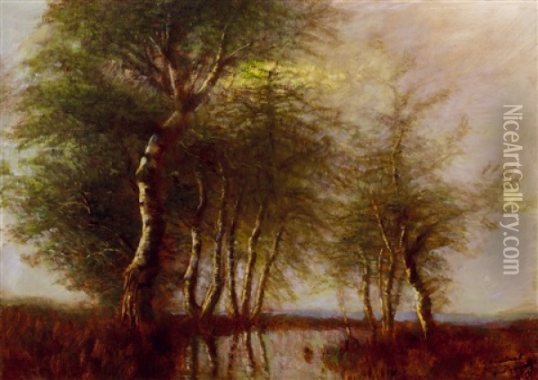 Trees By The River (mirroring) Oil Painting - Laszlo Mednyanszky