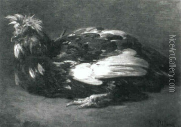 A Black And White Cock Oil Painting - Alexandre Defaux