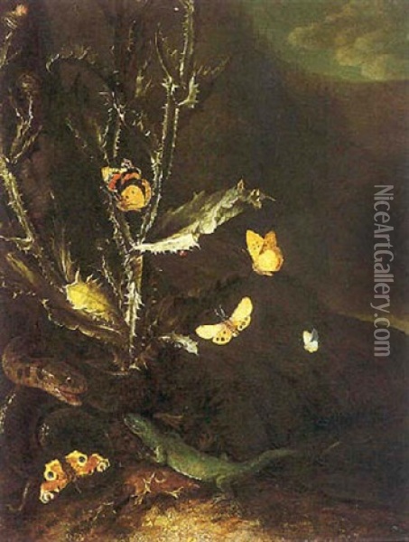 Sous Bois Avec Chardons, Serpents, Sauriens Et Papillons Oil Painting - Otto Marseus van Schrieck