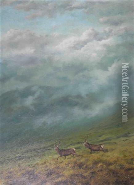 Two Stags Striding Across The Moor Oil Painting - Arthur John Black