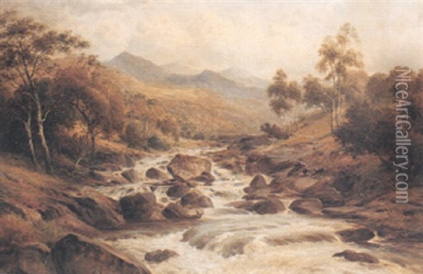 Trout Stream Oil Painting - William E. Harris