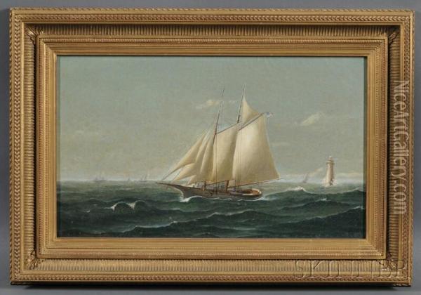 American Schooner Oil Painting - R. Holland