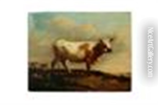 Landscape With Cow Oil Painting - Paulus Potter