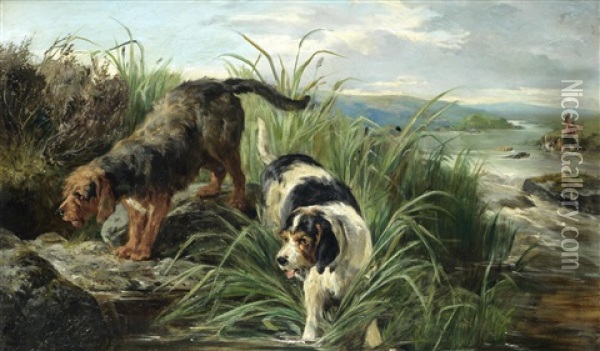 Otter Hounds On The Scent Oil Painting - John Sargent Noble