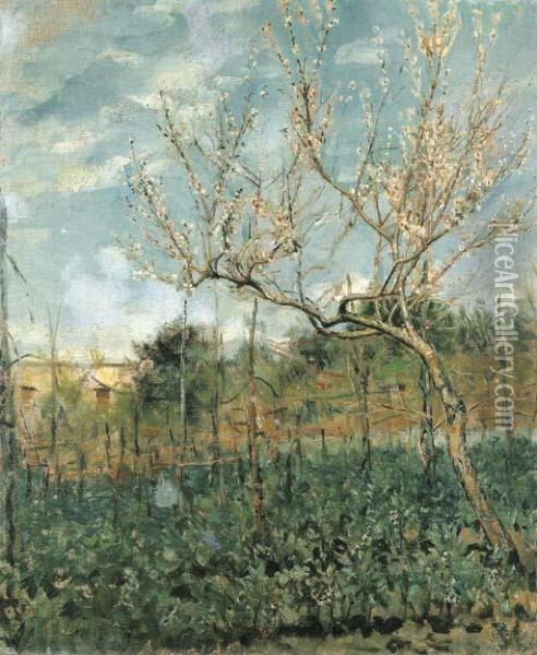 Paesaggio Con Pesco Fiorito Oil Painting - Alceste Campriani