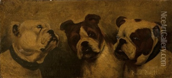 Bulldogs Oil Painting - Pauline Powell Burns