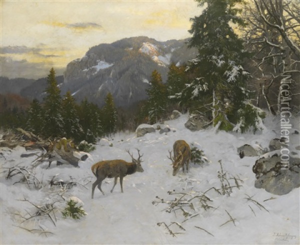 Hirsche Im Winterlichen Gebirge Oil Painting - Josef Schmitzberger