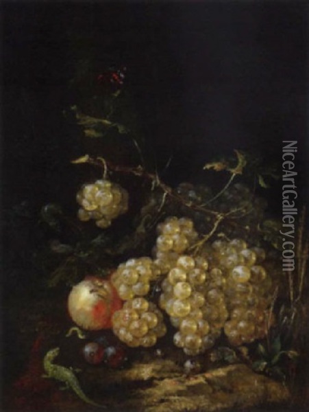 A Still Life With Grapes On A Forest Ground Oil Painting - Georg Kneipp