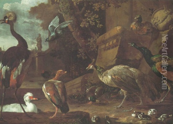 An East African Crane, A White Snow Goose, A Dutch Goose, A Mallard Duck, Peacock, A Pheasant, A Turkey And A Pigeon In A Park Oil Painting - Melchior de Hondecoeter
