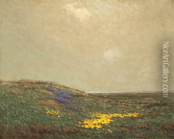 Wildflowers By The California Coast Oil Painting - Granville S. Redmond