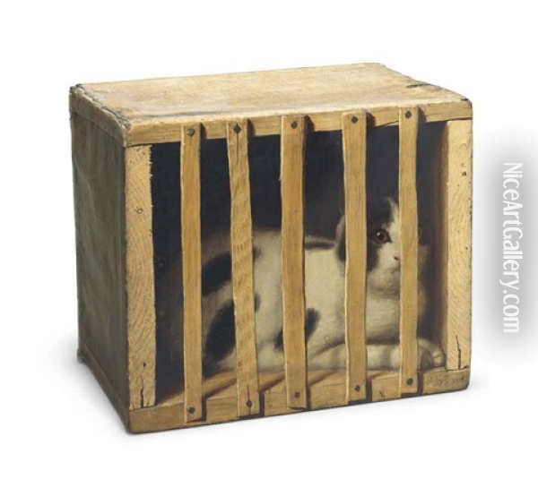 Cat In A Crate Oil Painting - De Scott Evans