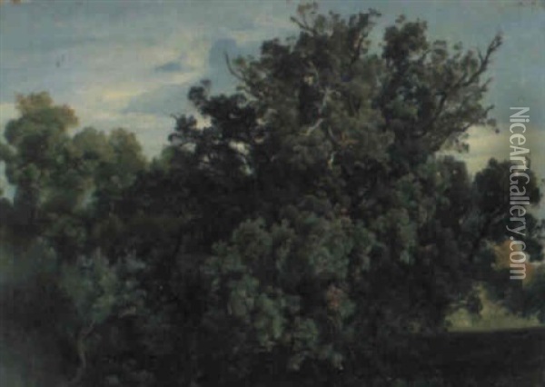 Waldinneres Oil Painting - Carl Maria Nicolaus Hummel
