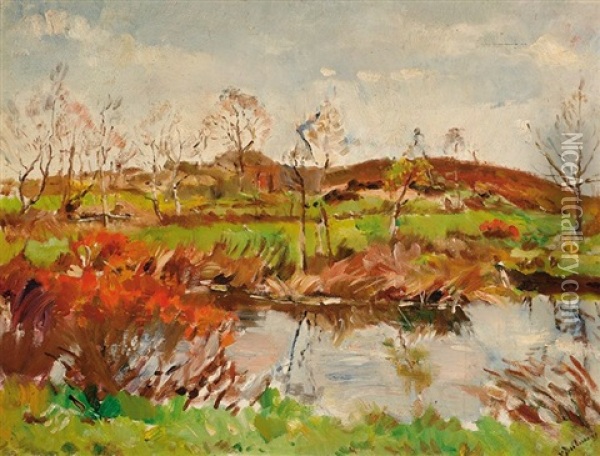Landscape In Drente Oil Painting - Erasmus Bernhard Van Dulmen Krumpelman