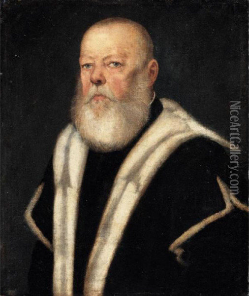 Portrait Of A Bearded Gentleman, Head And Shoulders, Wearing An Ermine-lined Black Coat Oil Painting - Jacopo Robusti, II Tintoretto