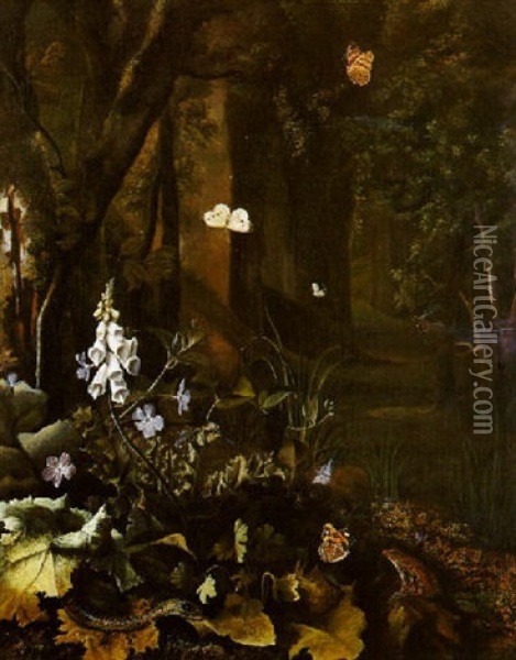 Plantes, Fleurs, Papillon, Reptile Et Grenouille Oil Painting - Otto Marseus van Schrieck