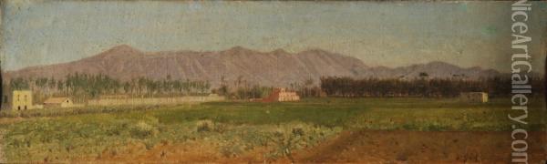 Paesaggio Pugliese Oil Painting - Giuseppe de Nittis