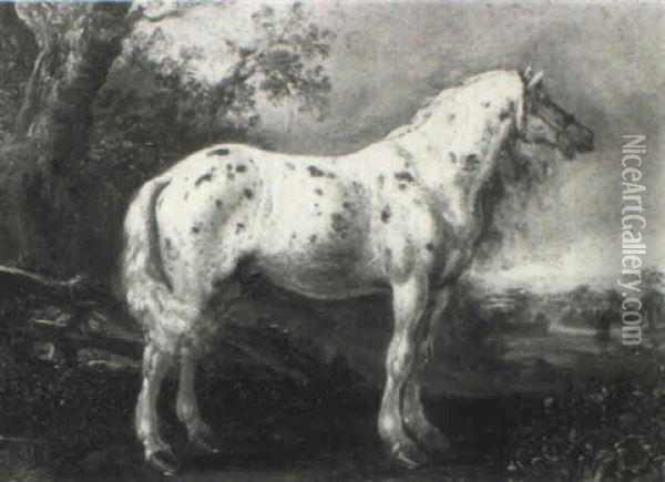 Dappled Grey Horse In A Landscape Oil Painting - Cornelis Saftleven