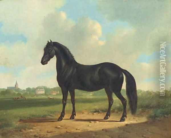 Black beauty Oil Painting - Albertus Verhoesen