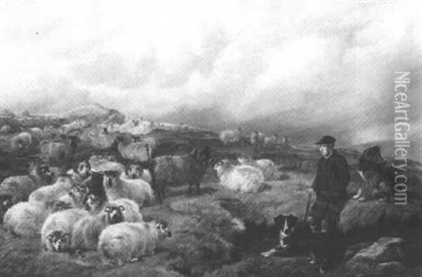 Sheep In The Highlands Oil Painting - Charles Jones