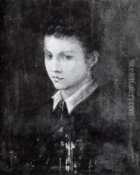Portrait Of A Young Boy Oil Painting - Francesco del Rossi (Salviati)