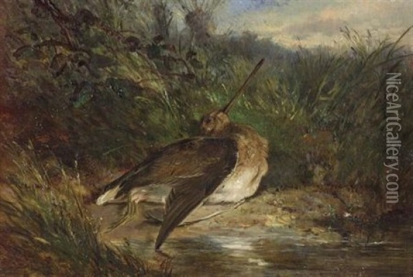 Snipe Oil Painting - James Hardy Jr.