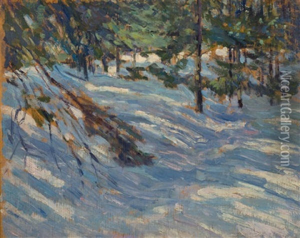 Pines, Algonquin Park Oil Painting - James Edward Hervey MacDonald