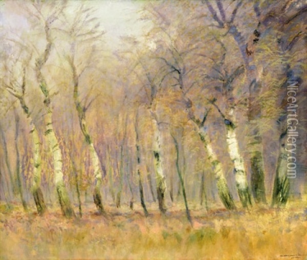 Birch Forest Oil Painting - Laszlo Mednyanszky