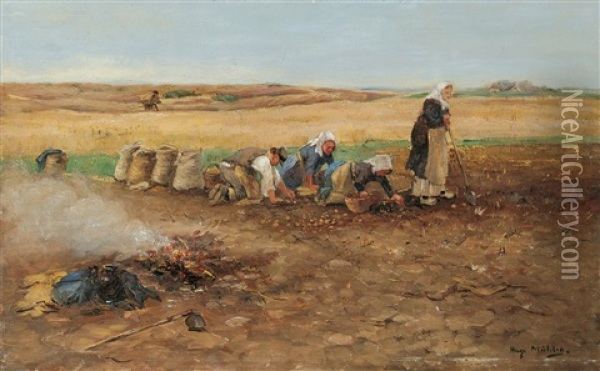 Bei Der Kartoffelernte Oil Painting - Hugo Muehlig