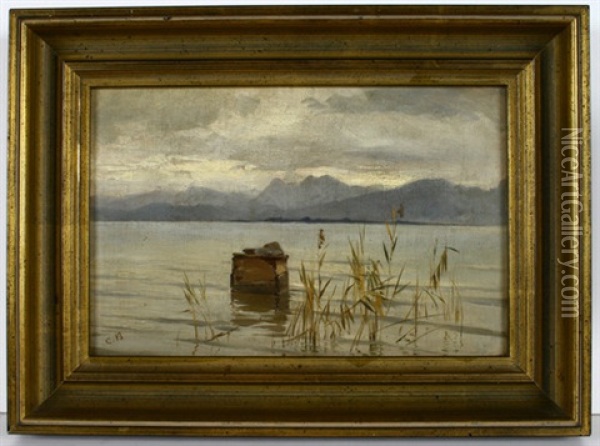 Blick Vom Schilfbestandenen Ufer Eines Sees Auf Alpine Bergkette Oil Painting - Carl Bolze
