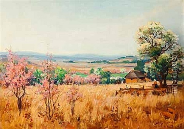 Transvaal Highveld, Spring Oil Painting - Pieter Hugo Naude