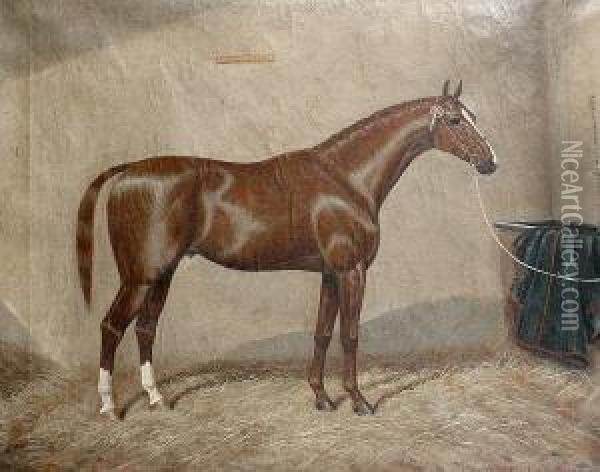 Drummond's Pride - A Horse In A Stable Oil Painting - William Albert Clark