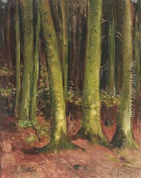 Waldeinblick Oil Painting - Pietronella Peters