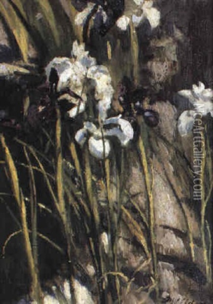 Irises Round Pool Oil Painting - Patrick William Adam