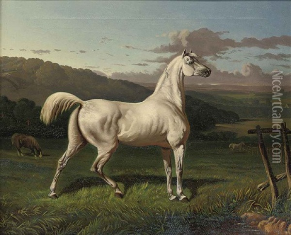 A Grey Horse On Full Alert Oil Painting - Jozef Brandt