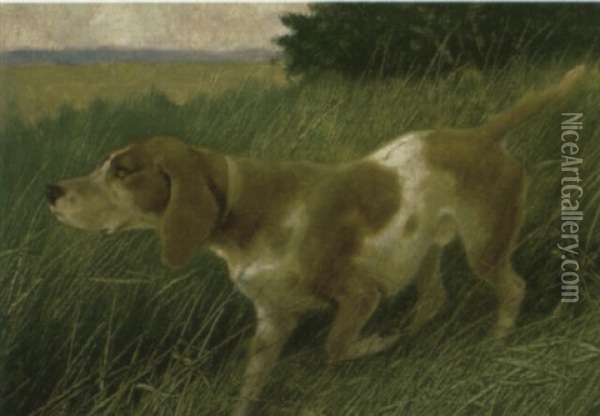 A Hound In A Landscape Oil Painting - Arthur Heyer