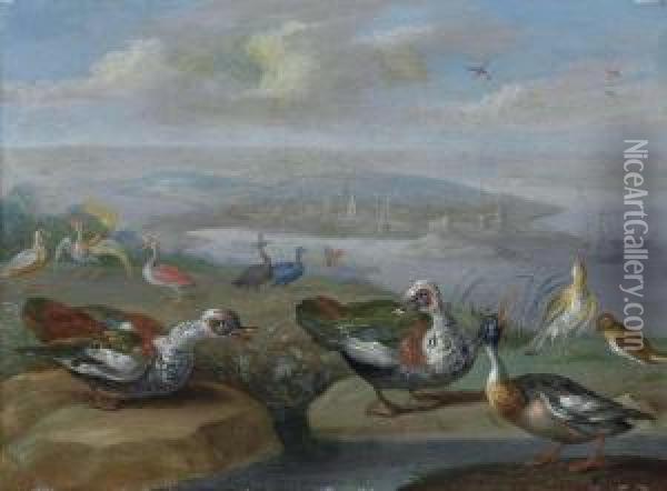 Two Egyptian Geese Oil Painting - Jan van Kessel