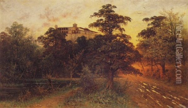 Bosque Y Castillo De Chapultepec Oil Painting - August Loehr