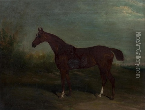 Portrait Of A Chesnut Horse With Docked Tail Oil Painting - David (of York) Dalby