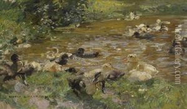 Enten Im Wasser. Oil Painting - Rudolf Schramm-Zittau