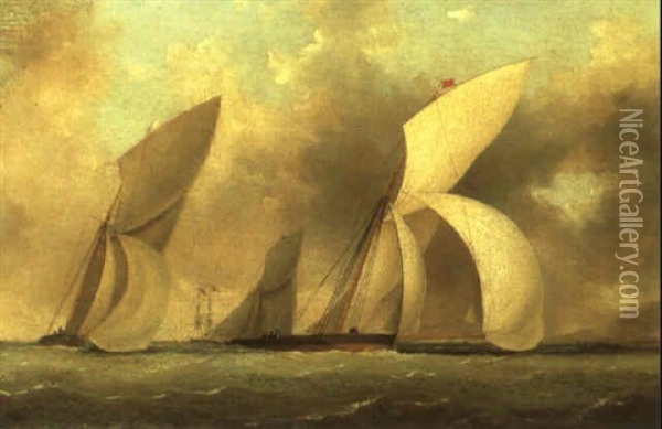 Yacht Race Oil Painting - Nicholas Matthew Condy