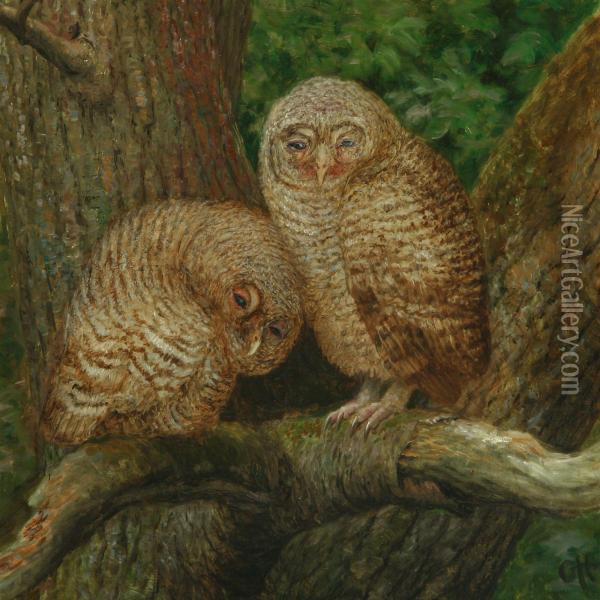 Two Owls Sitting Ina Tree Oil Painting - Gerhard V.E. Heilmann