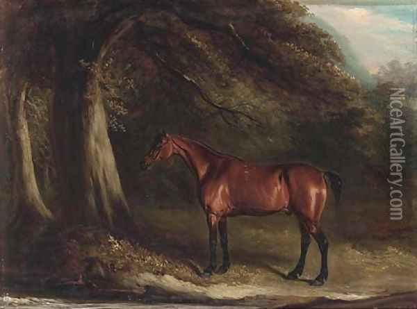 Old Dick, a bay in a wooded landscape Oil Painting - John Jnr. Ferneley