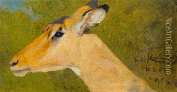 An Impala Head Oil Painting - Wilhelm Friedrich Kuhnert
